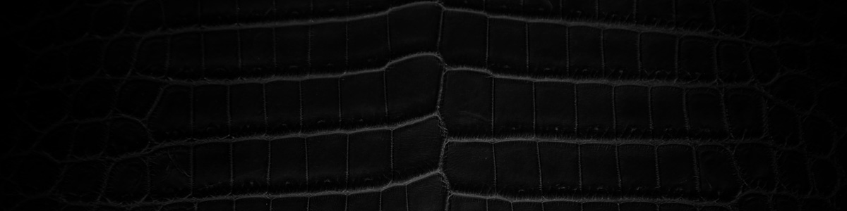 Maison du Crocodile